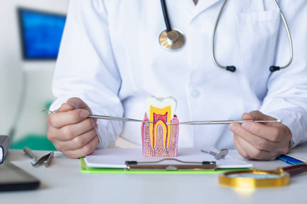 Best Emergency Tooth Extraction in Foster Brook, PA